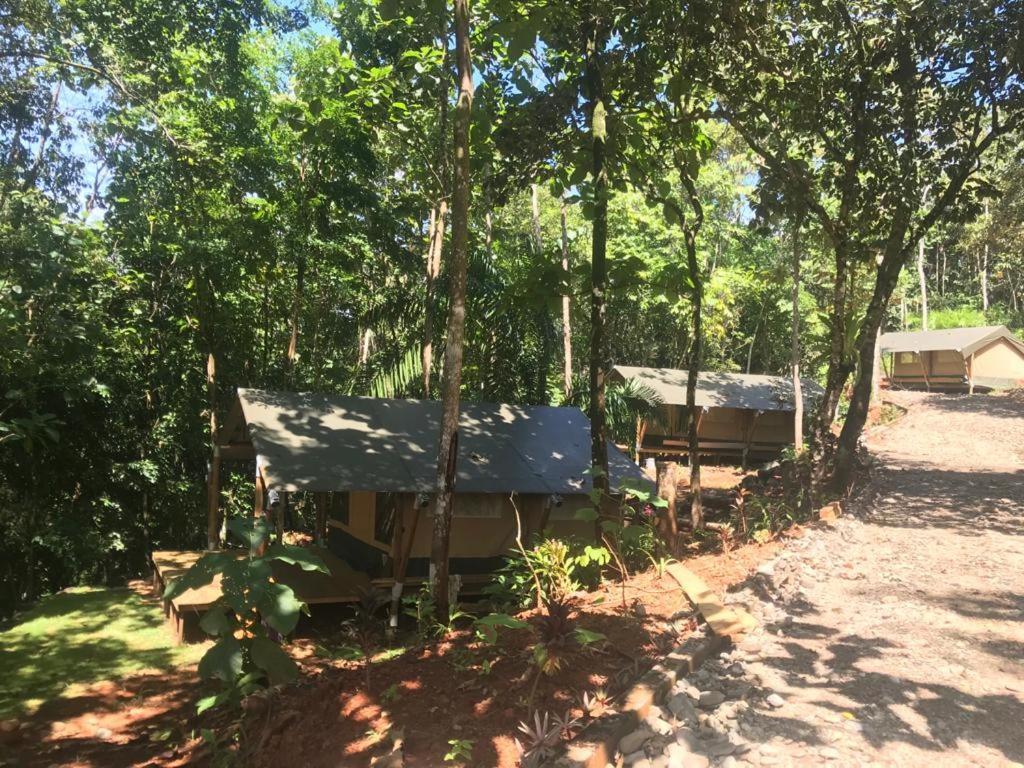 El Pulpo Safari Lodge Ojochal Bagian luar foto