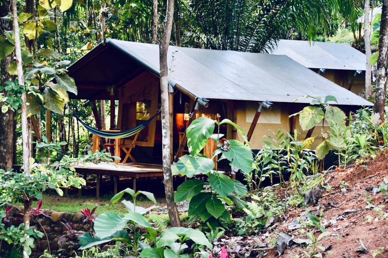 El Pulpo Safari Lodge Ojochal Bagian luar foto